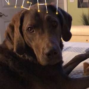 Meet your Posher, Renaye